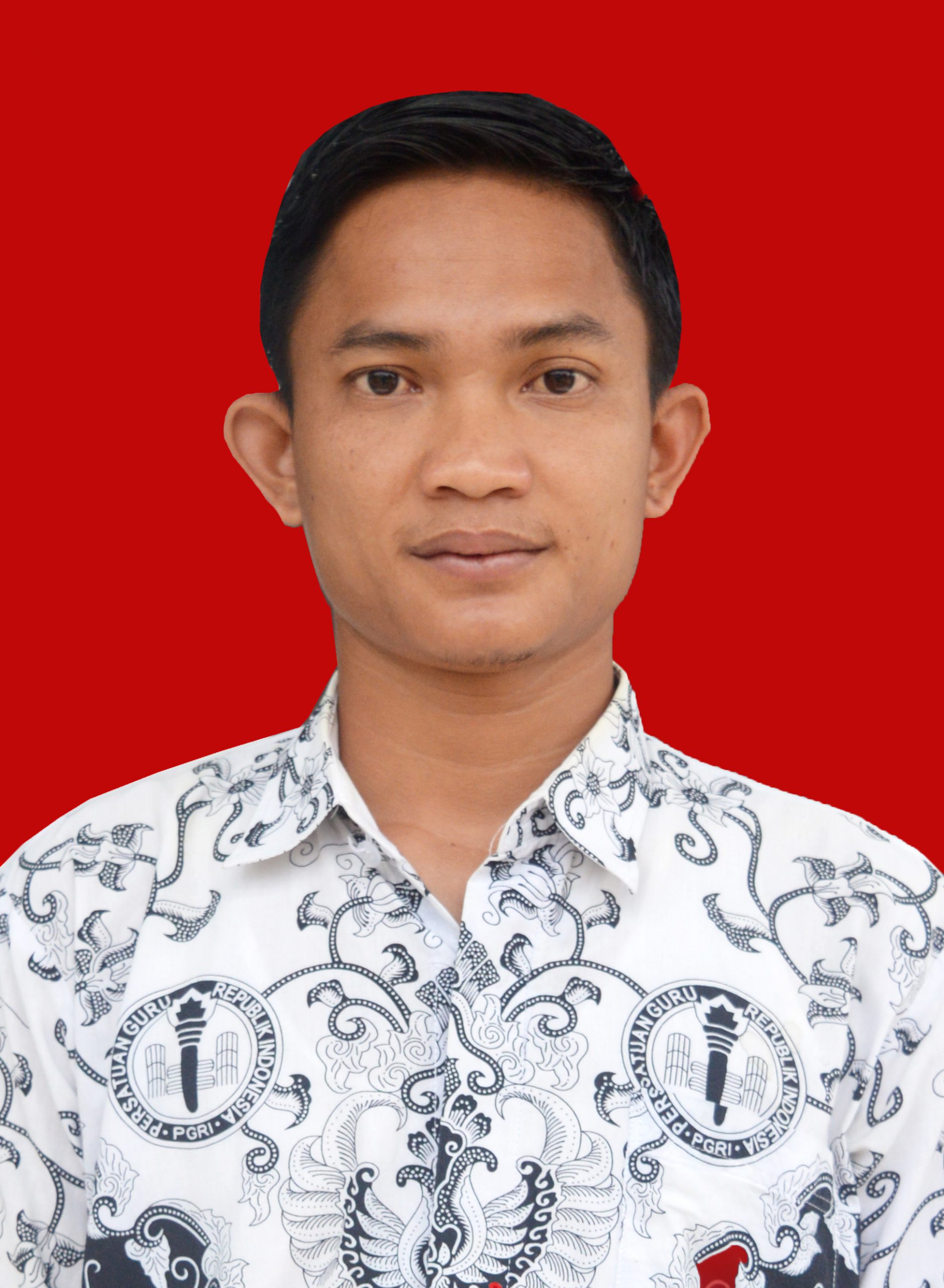 ADE VIRGIAWAN